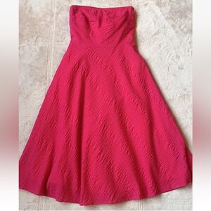 J Crew Strapless Raspberry Pink Seersucker Dress